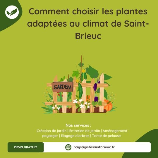 Plantes adaptées au climat des Côtes-d’Armor : conseils d’un paysagiste à Saint-Brieuc