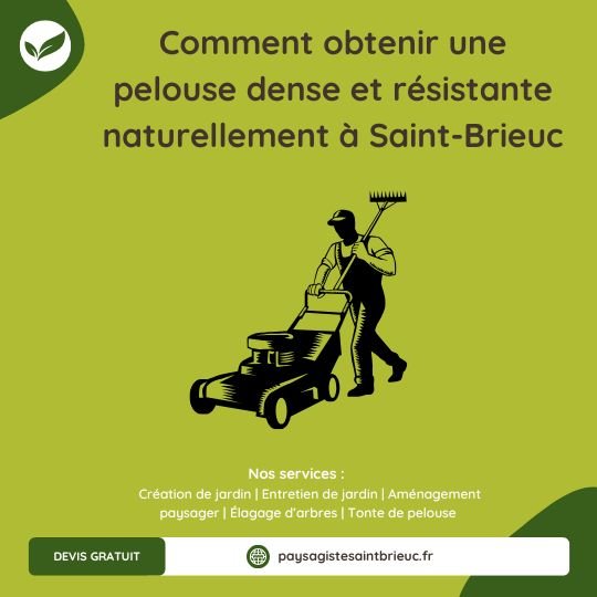 Comment avoir un bon gazon à Saint-Brieuc