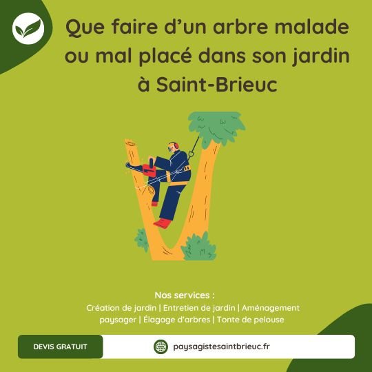 Arbre malade ou mal placé : que faire ?